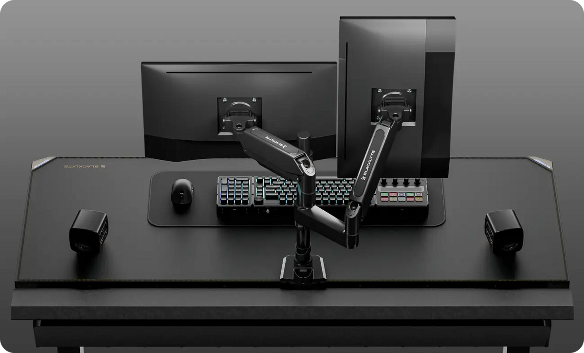 Dual Monitor Setup (Landscape + Portrait)